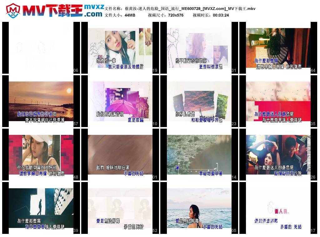蔡黄汝-迷人的危险_国语_流行_ME600728